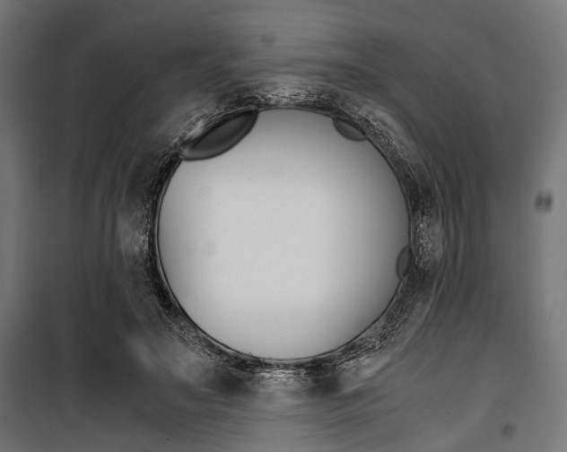 X0000100880499200806201150