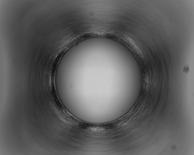X0000100880500200806201150
