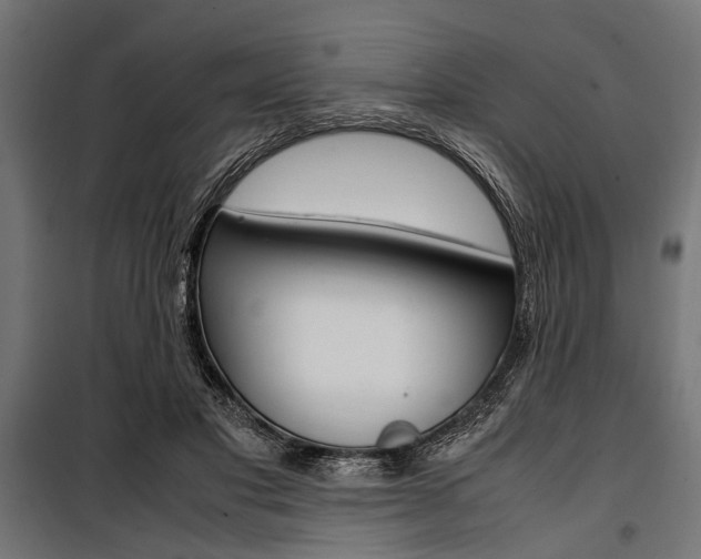 X0000100880501200806201150