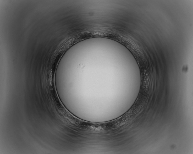 X0000100880502200806201150