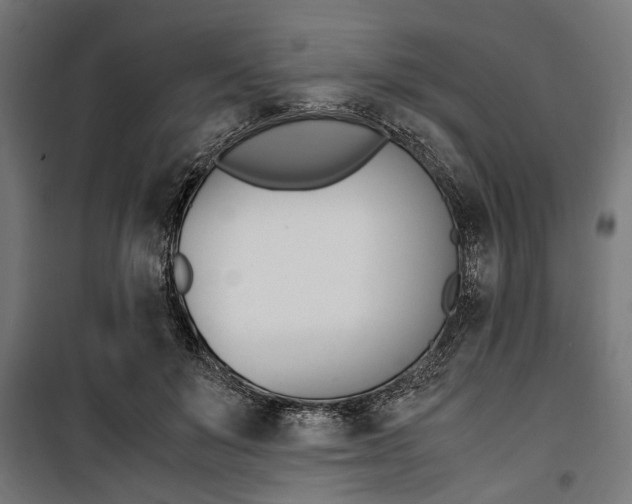 X0000100880503200806201150