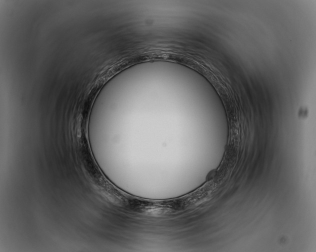 X0000100880504200806201150