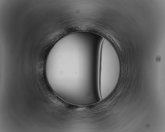 X0000100880505200806201150