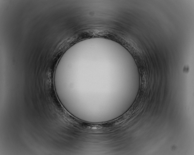X0000100880506200806201150