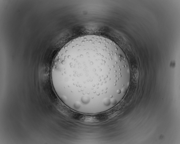 X0000100880507200806201150
