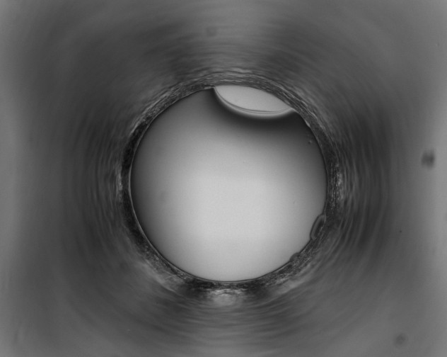X0000100880508200806201150