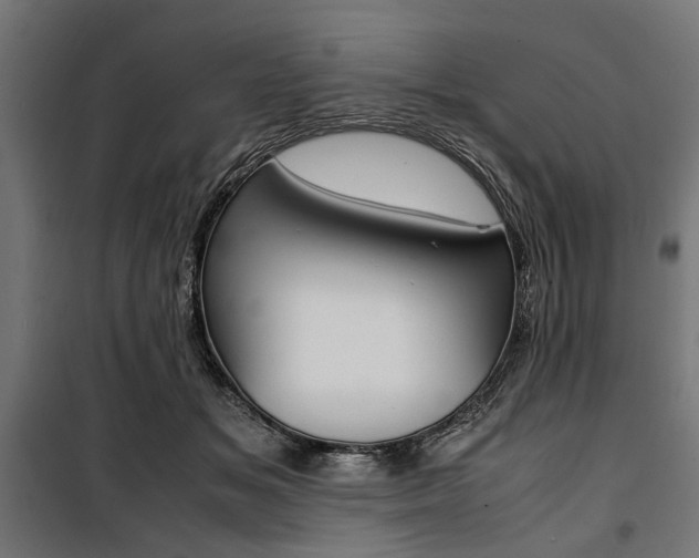 X0000100880509200806201150