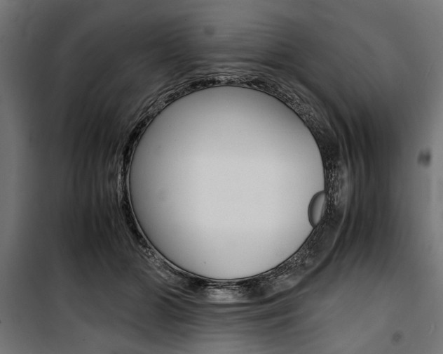 X0000100880510200806201150
