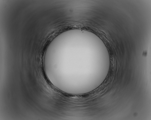 X0000100880511200806201150