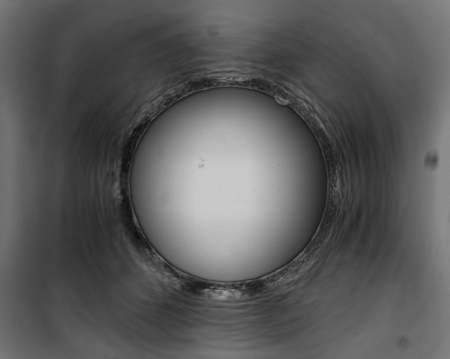 X0000100880512200806201150