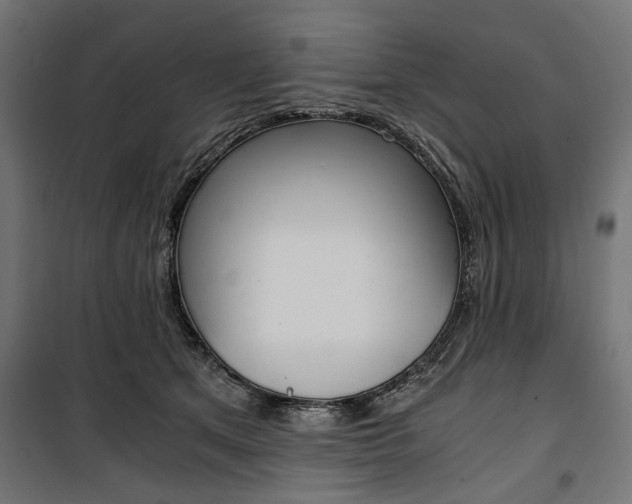X0000100880513200806201150