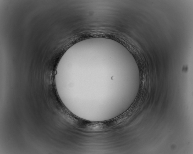 X0000100880514200806201150