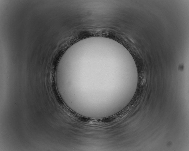 X0000100880515200806201150