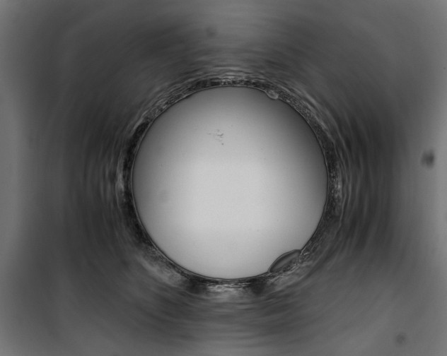 X0000100880516200806201150