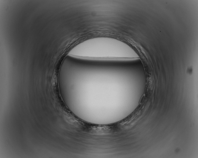 X0000100880517200806201150