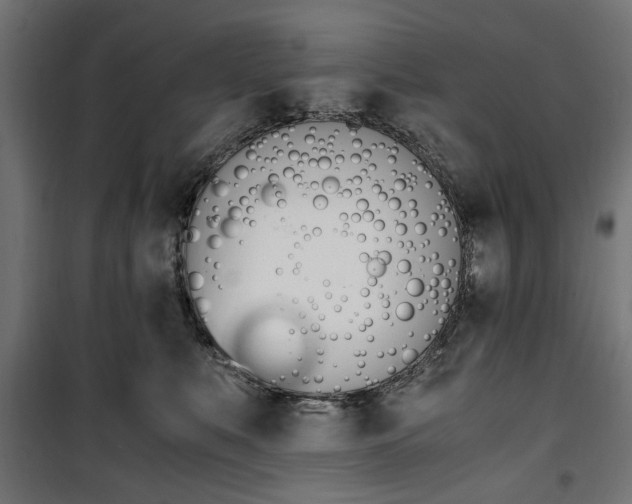 X0000100880519200806201150