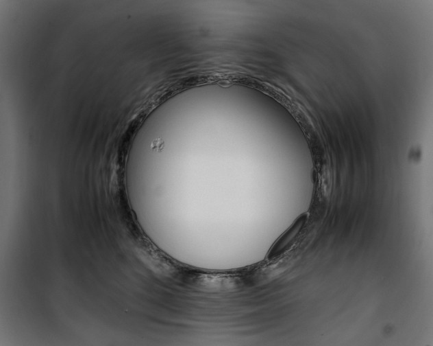 X0000100880520200806201150