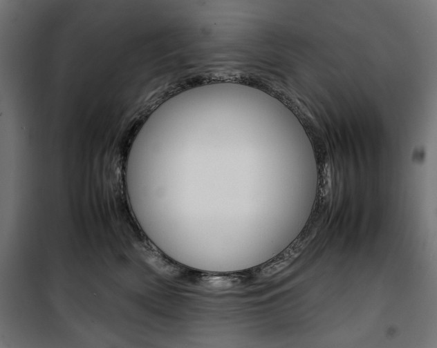 X0000100880522200806201150