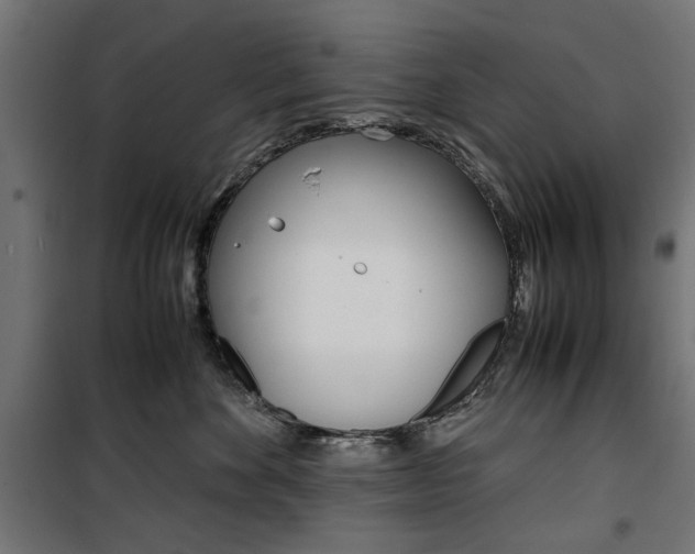X0000100880524200806201150