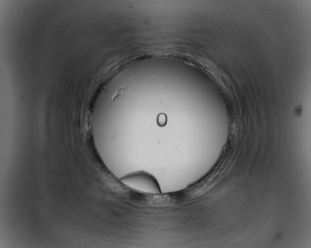 X0000100880525200806201150