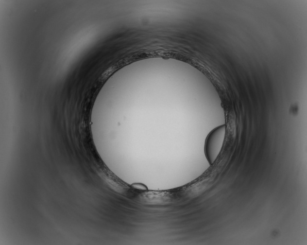 X0000100880526200806201150