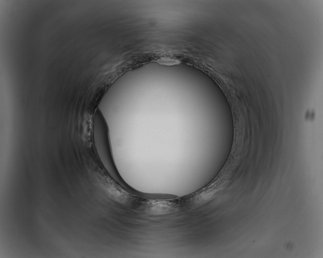 X0000100880528200806201150