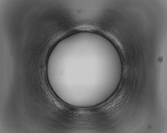 X0000100880529200806201149