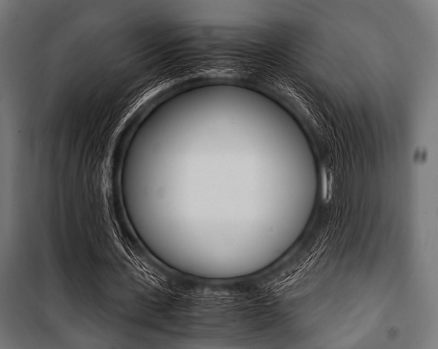 X0000100880531200806201149