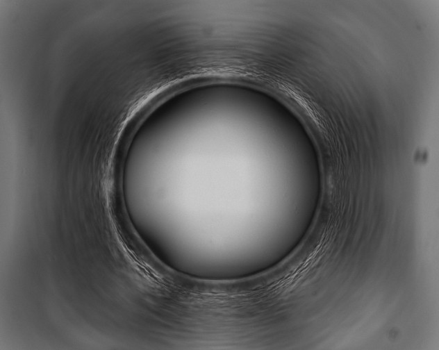 X0000100880532200806201149