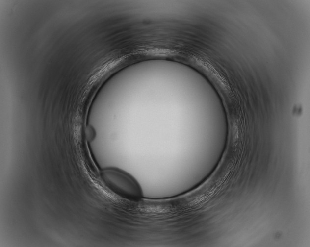 X0000100880533200806201149