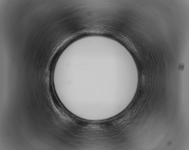 X0000100880534200806201149