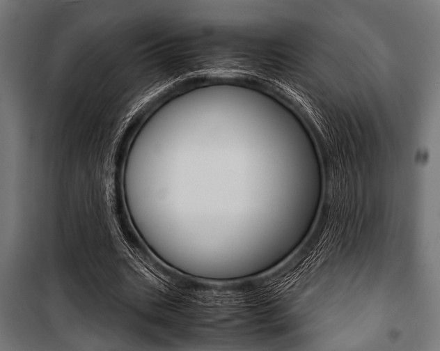 X0000100880535200806201149