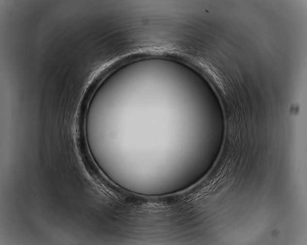 X0000100880536200806201149