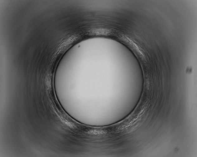 X0000100880537200806201149