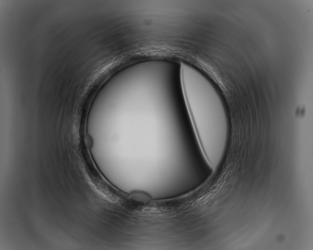 X0000100880538200806201149