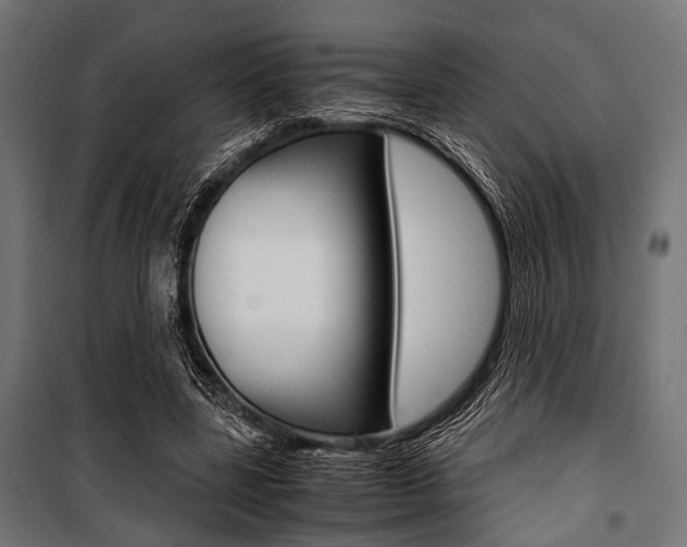X0000100880539200806201149