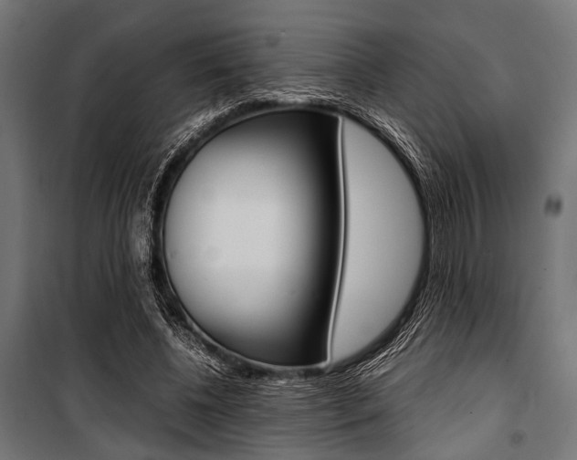 X0000100880540200806201149