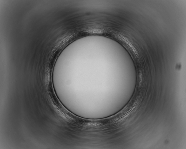 X0000100880541200806201149