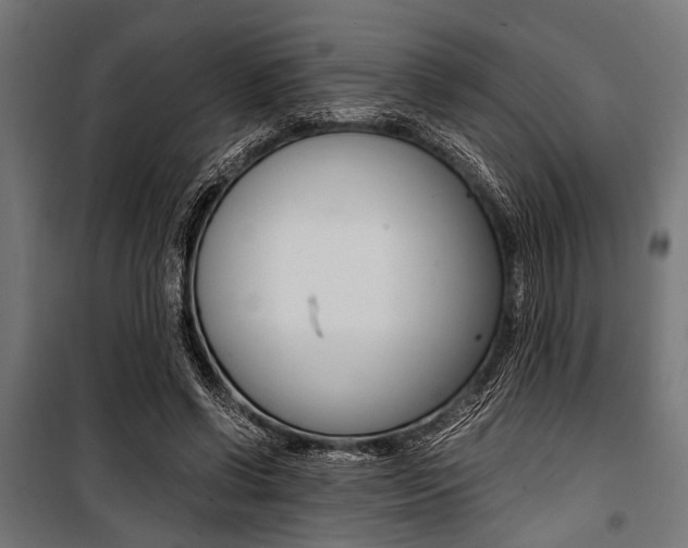 X0000100880542200806201149