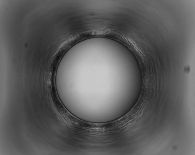 X0000100880543200806201149