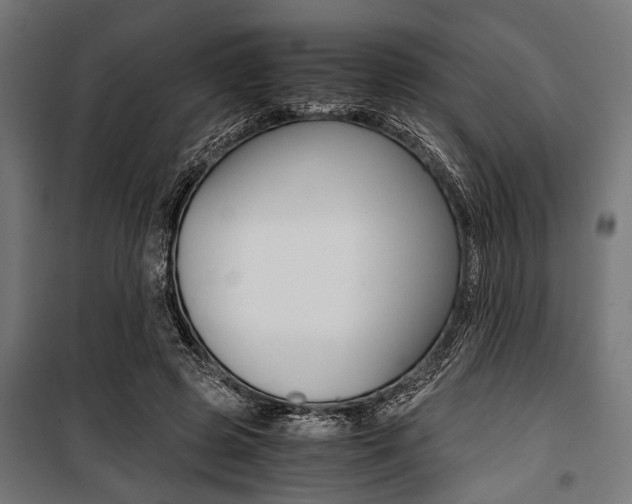 X0000100880545200806201149