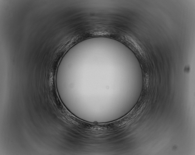 X0000100880549200806201149