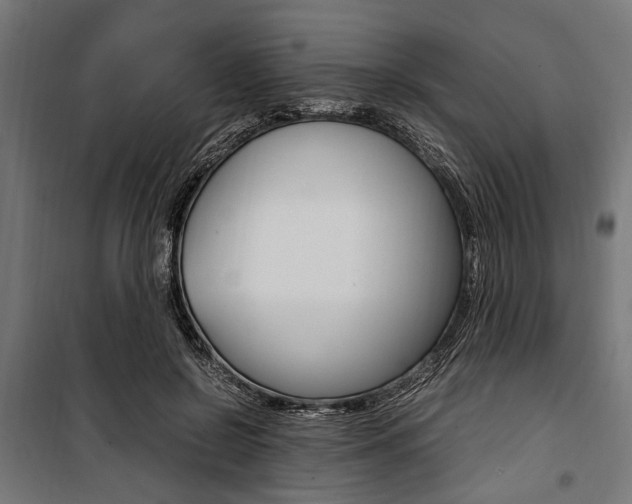 X0000100880550200806201149