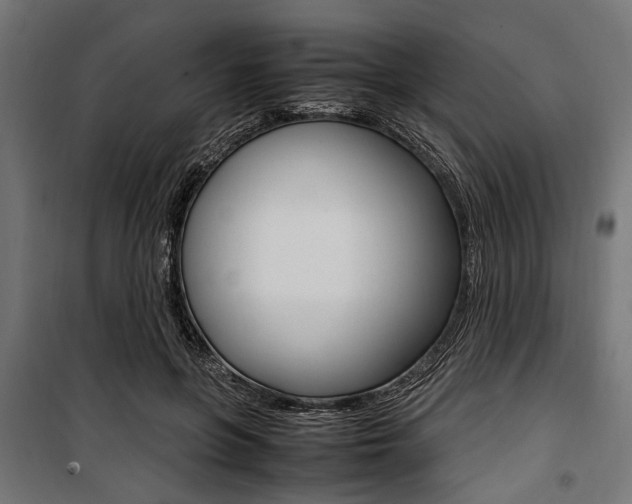 X0000100880551200806201149