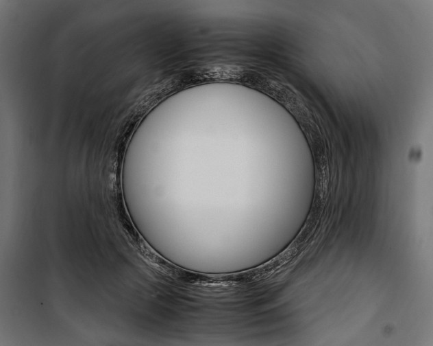 X0000100880553200806201149