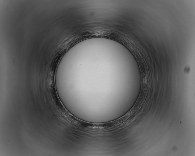 X0000100880554200806201149