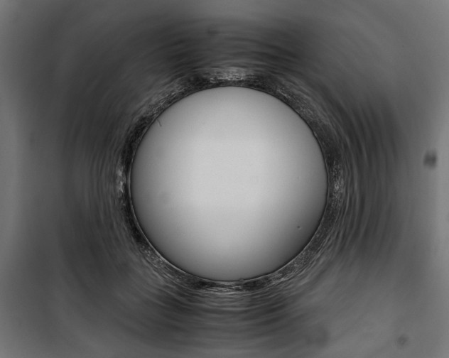 X0000100880555200806201149