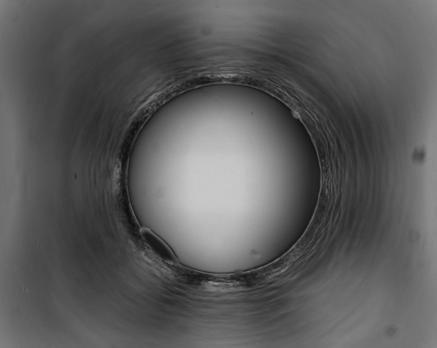 X0000100880556200806201149