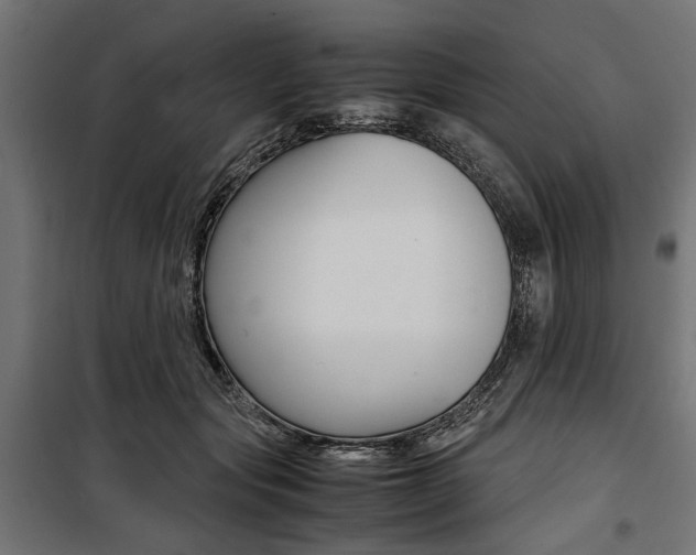 X0000100880557200806201149