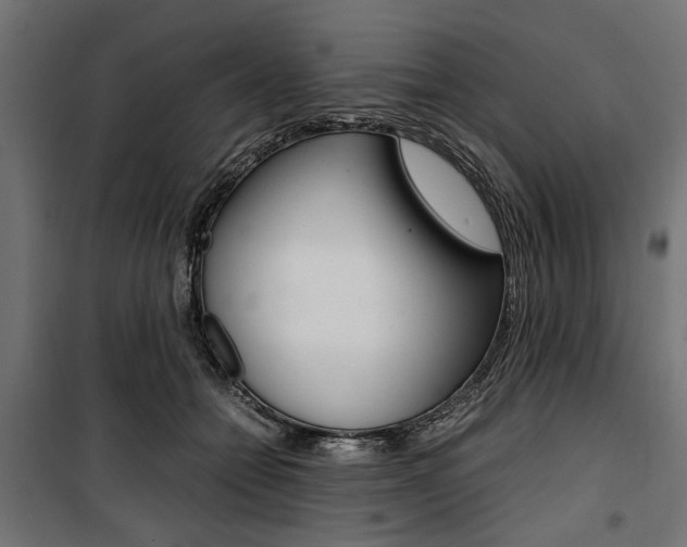 X0000100880558200806201149